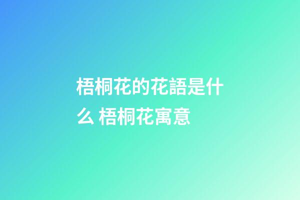 梧桐花的花語是什么 梧桐花寓意